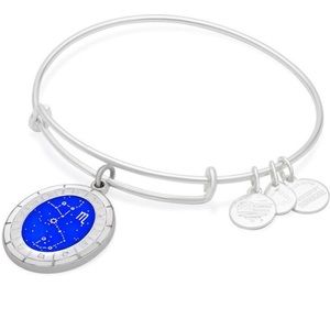Alex and Ani Celestial Wheel, Scorpio
